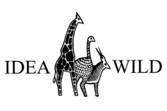 idea logo